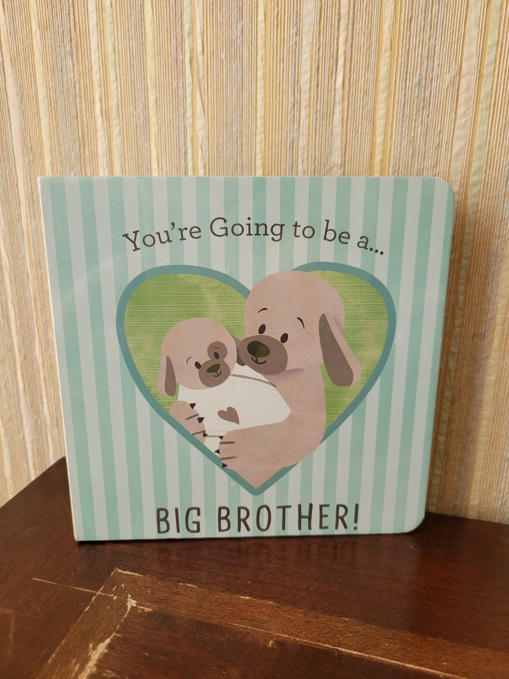 You’re Going to be a Big Brother Book - Mint Stripes